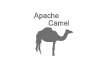 Learn Apache Camel