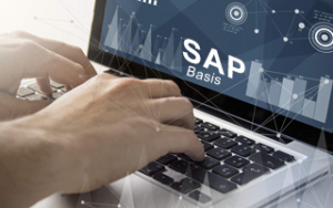 SAP Basis Online Training